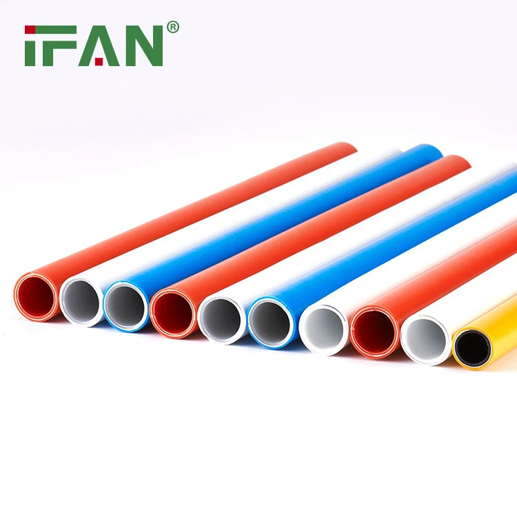 IFAN  (12)