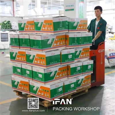 IFAN Packaging Workshop